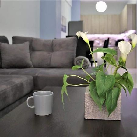 Lovely Apartment In The Center Of Athens. Экстерьер фото