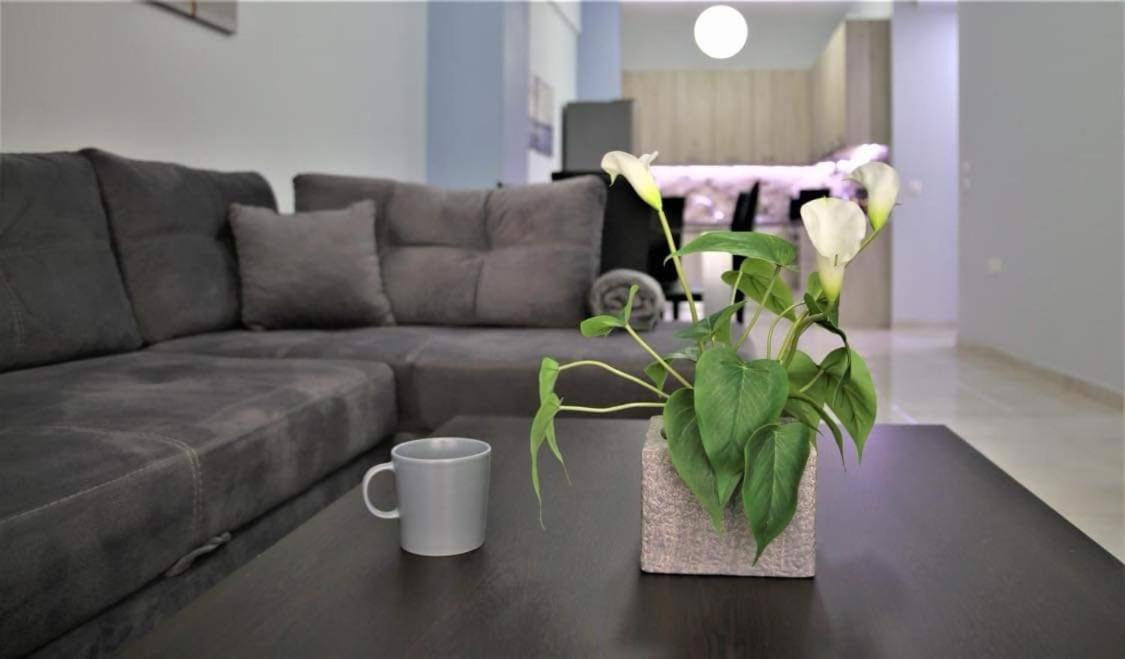 Lovely Apartment In The Center Of Athens. Экстерьер фото